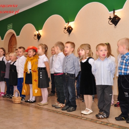 Wyświetl org. rozmiar