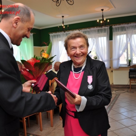 Wyświetl org. rozmiar