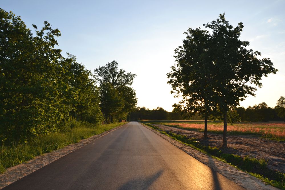 Droga Salamony -po remoncie Droga Salamony -po remoncie